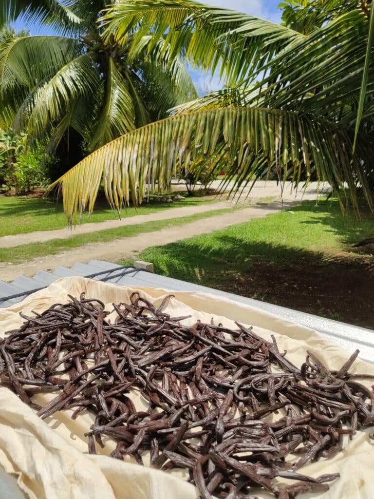 Vanilla Farm, Huahine, Französisch Polynesien