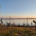 Picknick in den Weinbergen, Birnau, Bodensee