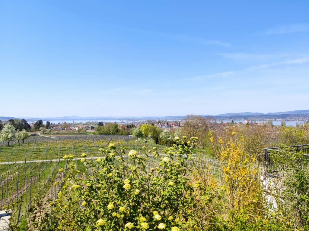 Blick auf das Münster und den Westteil der Insel,Kunstroute Untersee, Insel Reichenau, Bodensee Sehenswürdigkeiten