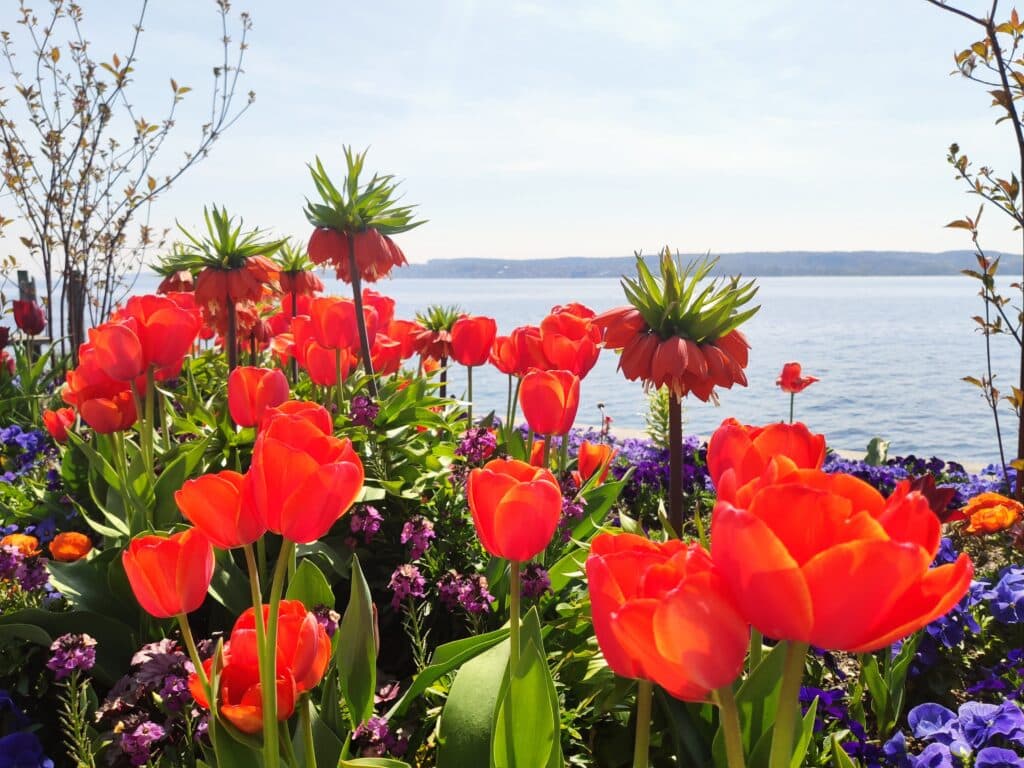 Überlingen Seepromenade, Überlingen Sehenswürdigkeiten, Bodensee