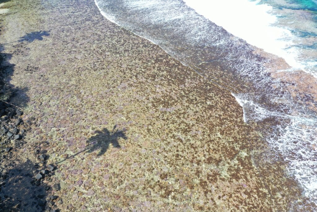 Die schwarzen Sandstrände Tahitis