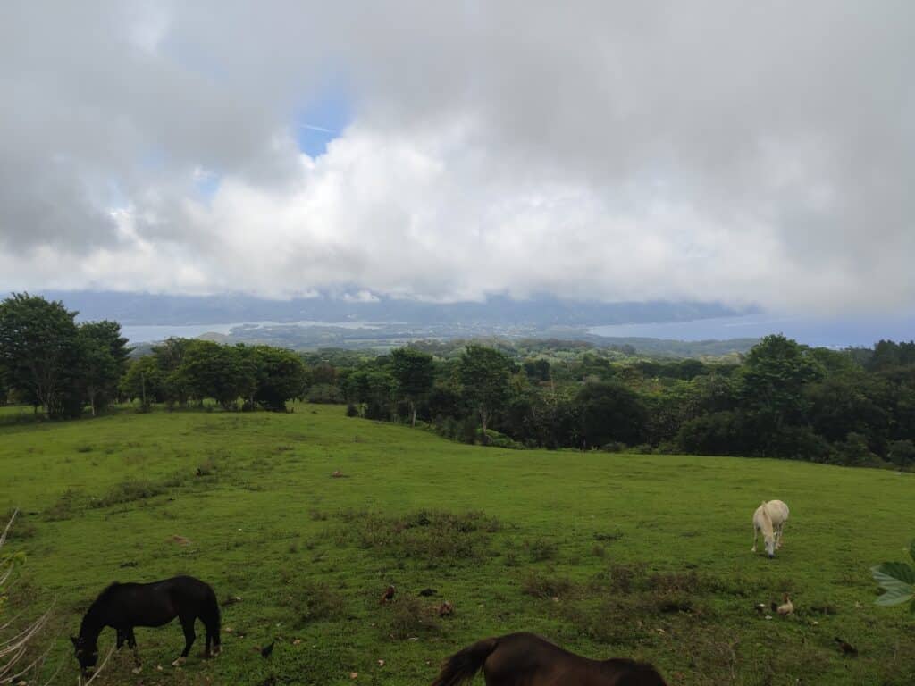 Plateau de Taravao, Tahiti