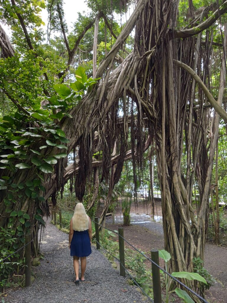 Grotte, Tahiti