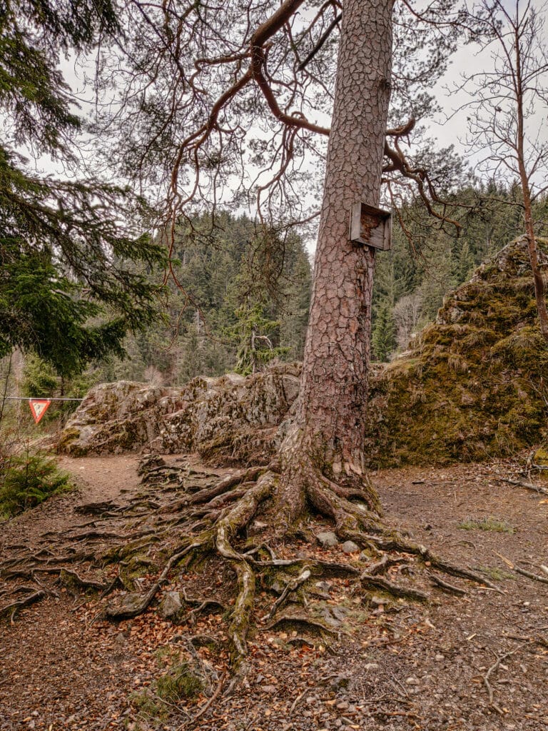 Räuberschlössle, Wutachschlucht, Schwarzwald