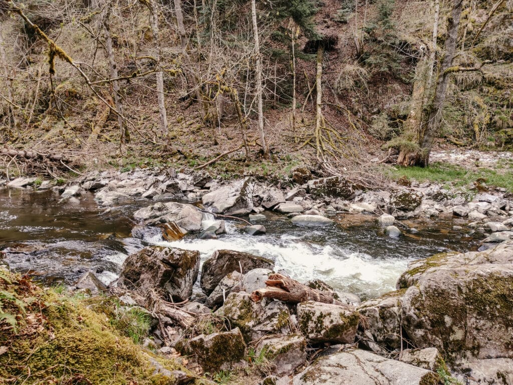 Wutachschlucht, Schwarzwald