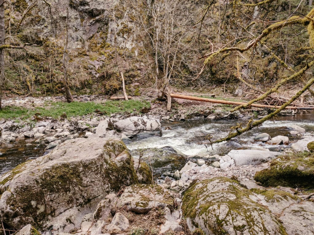 Wutachschlucht, Schwarzwald