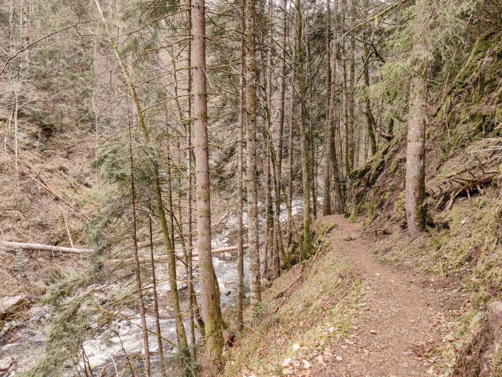 Wutachschlucht, Schwarzwald Ausflugsziele