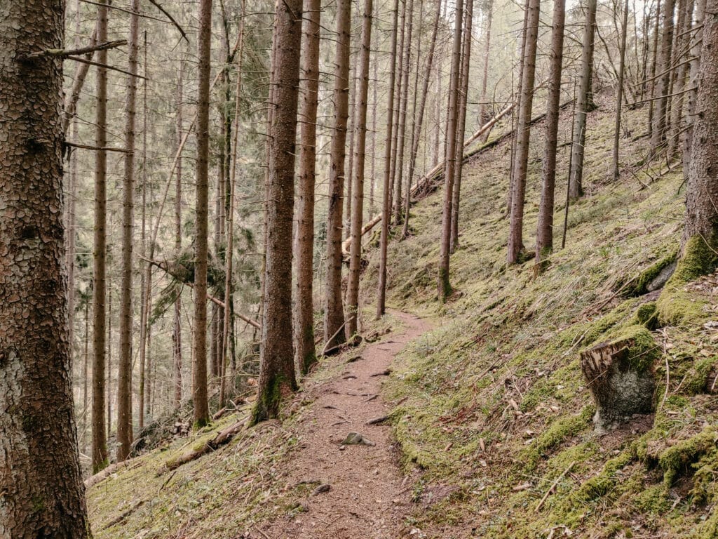 Wutachschlucht, Schwarzwald