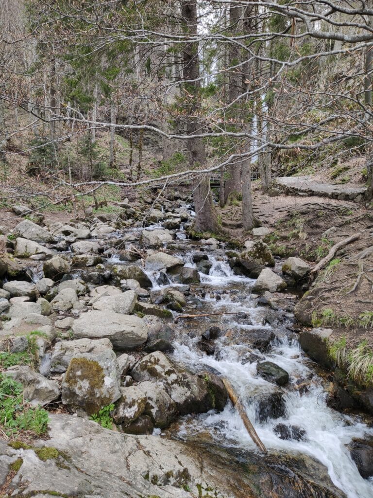 Todtnauer Wasserfall, Schwarzwald