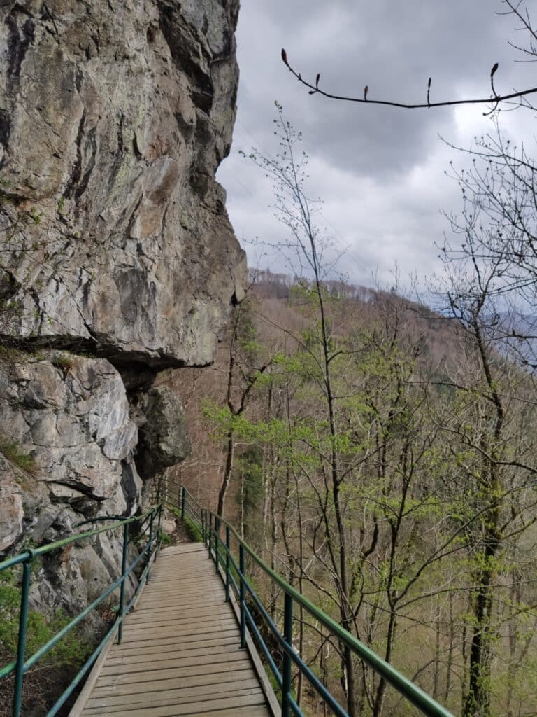 Todtnauer Wasserfall, Schwarzwald