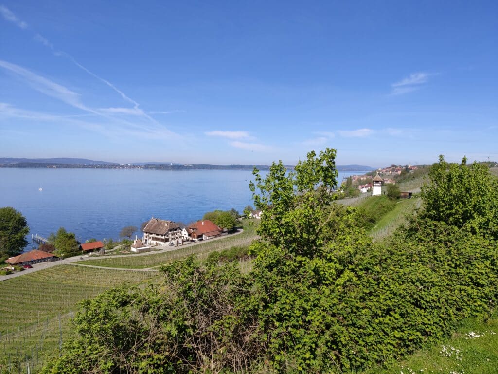 Meersburger Höhenweg