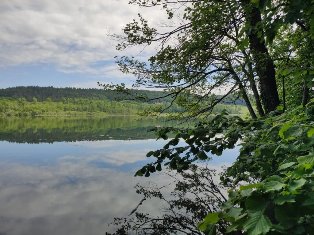 Naturschutzgebiet Mindelsee, Radolfzell am Bodensee