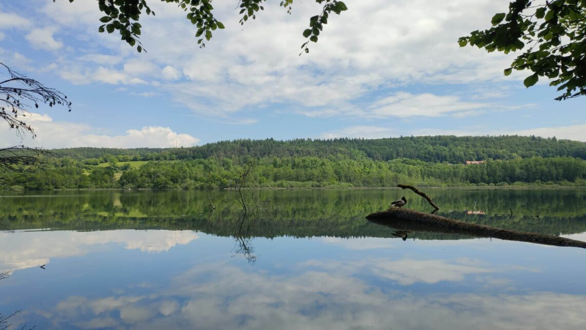 Naturschutzgebiet Mindelsee, Radolfzell am Bodensee