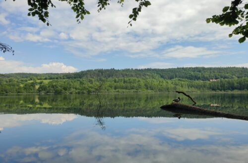 Naturschutzgebiet Mindelsee, Radolfzell am Bodensee