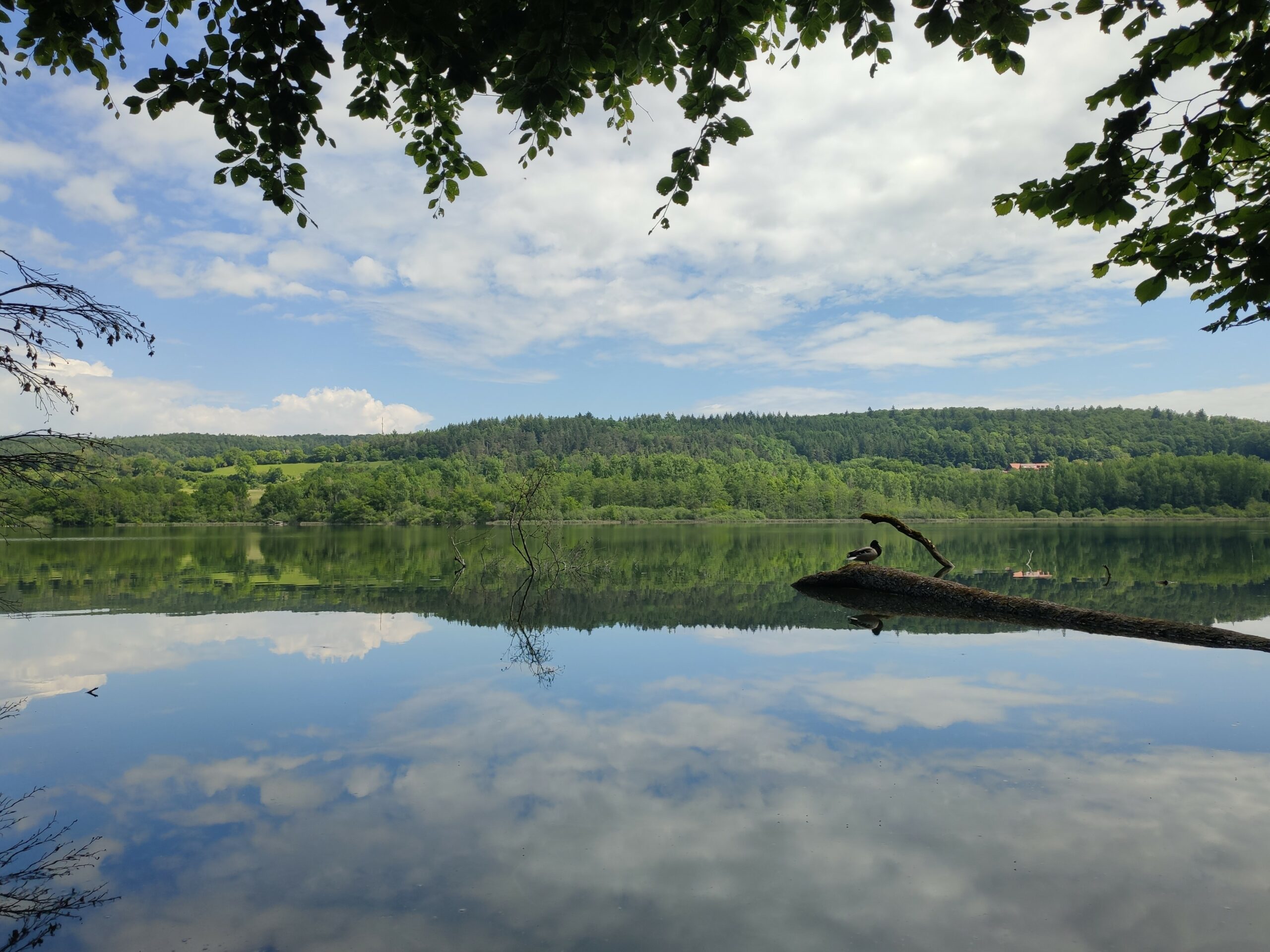 Wandern Am Bodensee Im Naturschutzgebiet Mindelsee