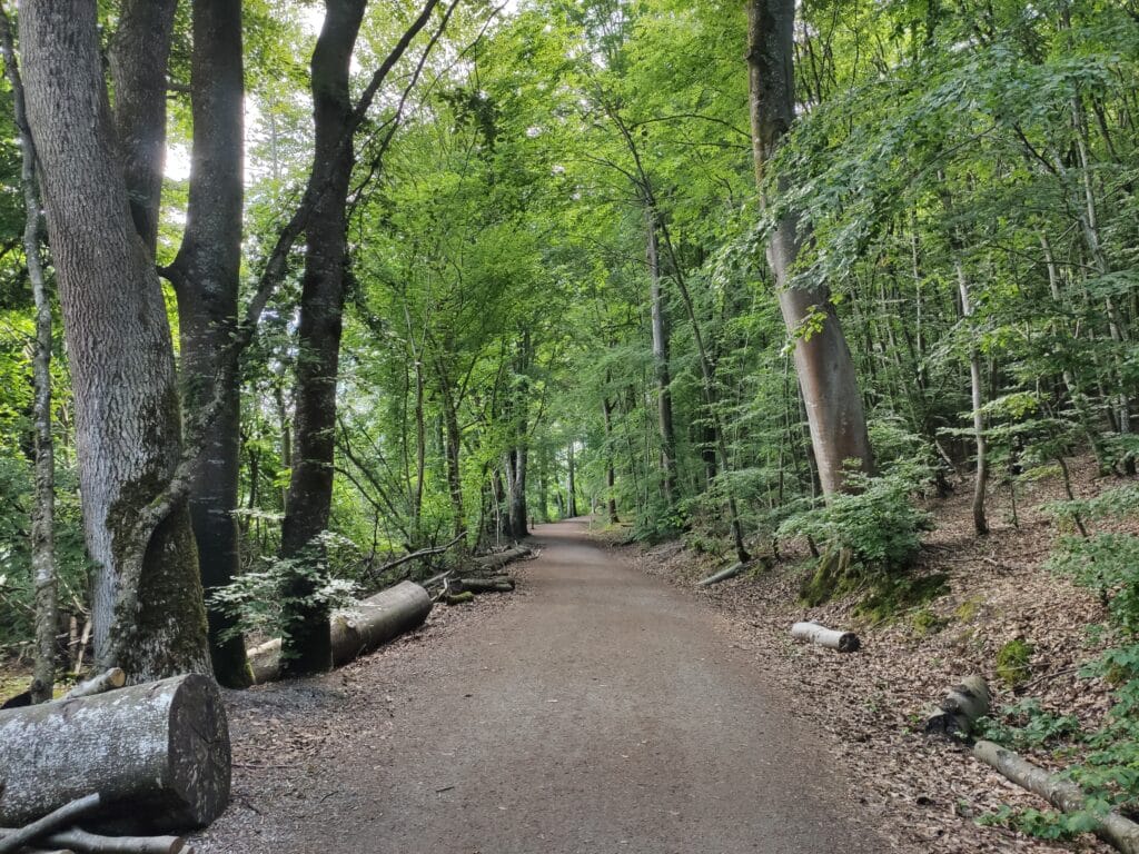 Naturschutzgebiet Mindelsee, Radolfzell am Bodensee