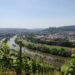 Würzburg am Stein