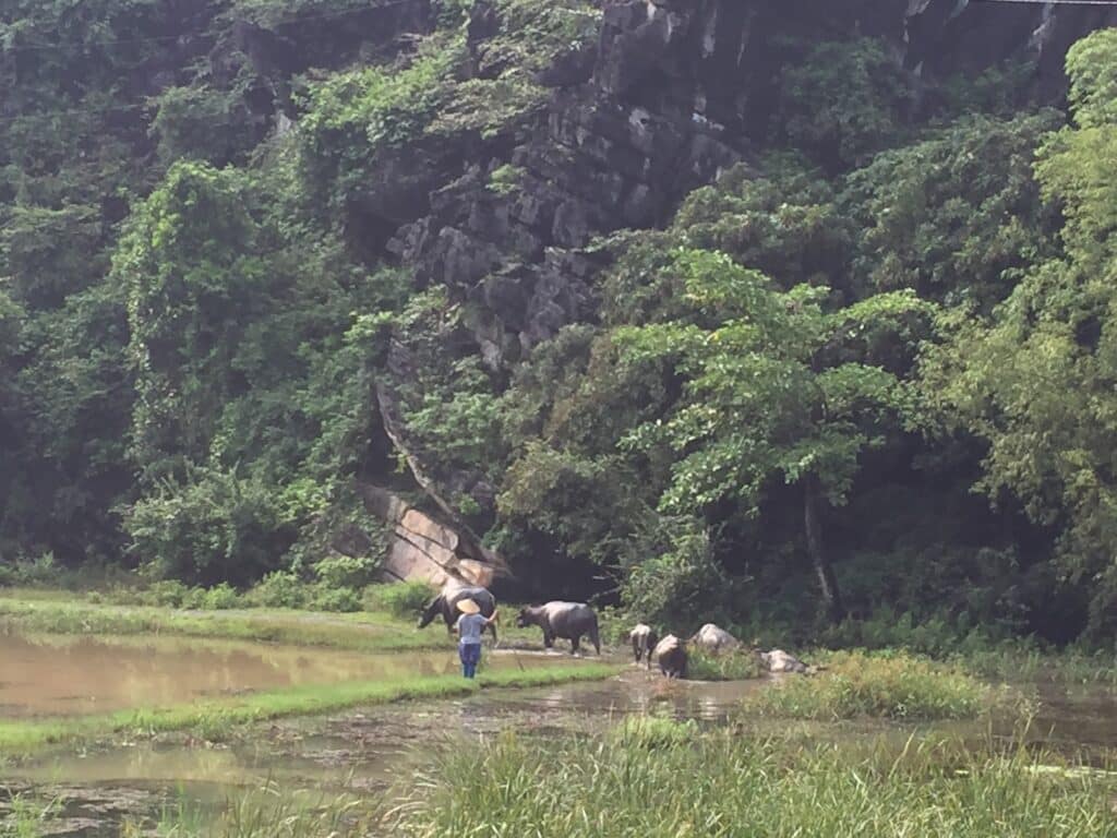 Tam Coc, Vietnam