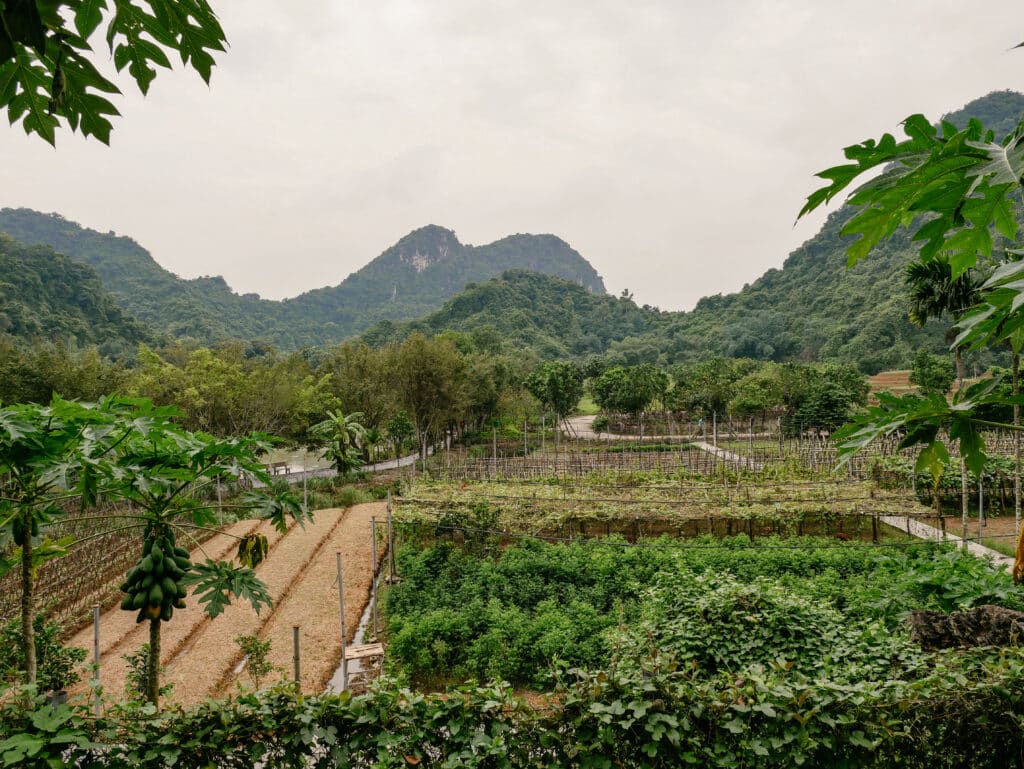Bird Park, Tam Coc, Vietnam