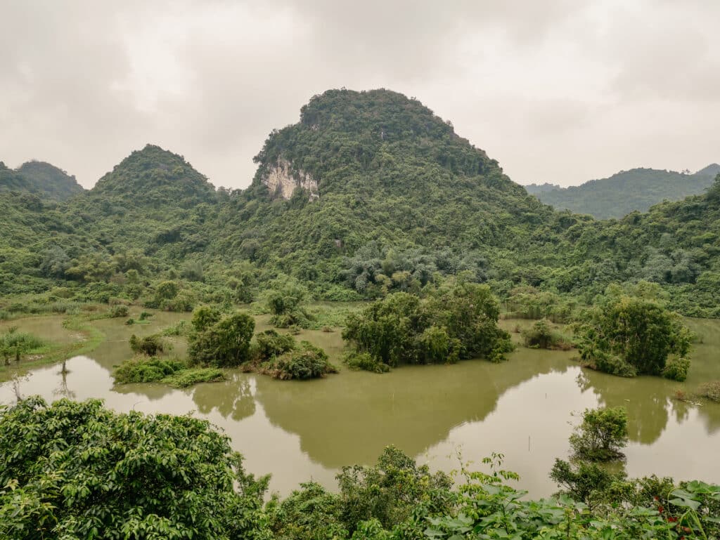 Bird Park, Tam Coc, Vietnam