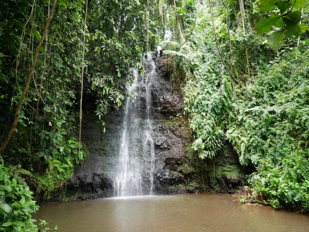 Water Gardens Vaipahi, Tahiti