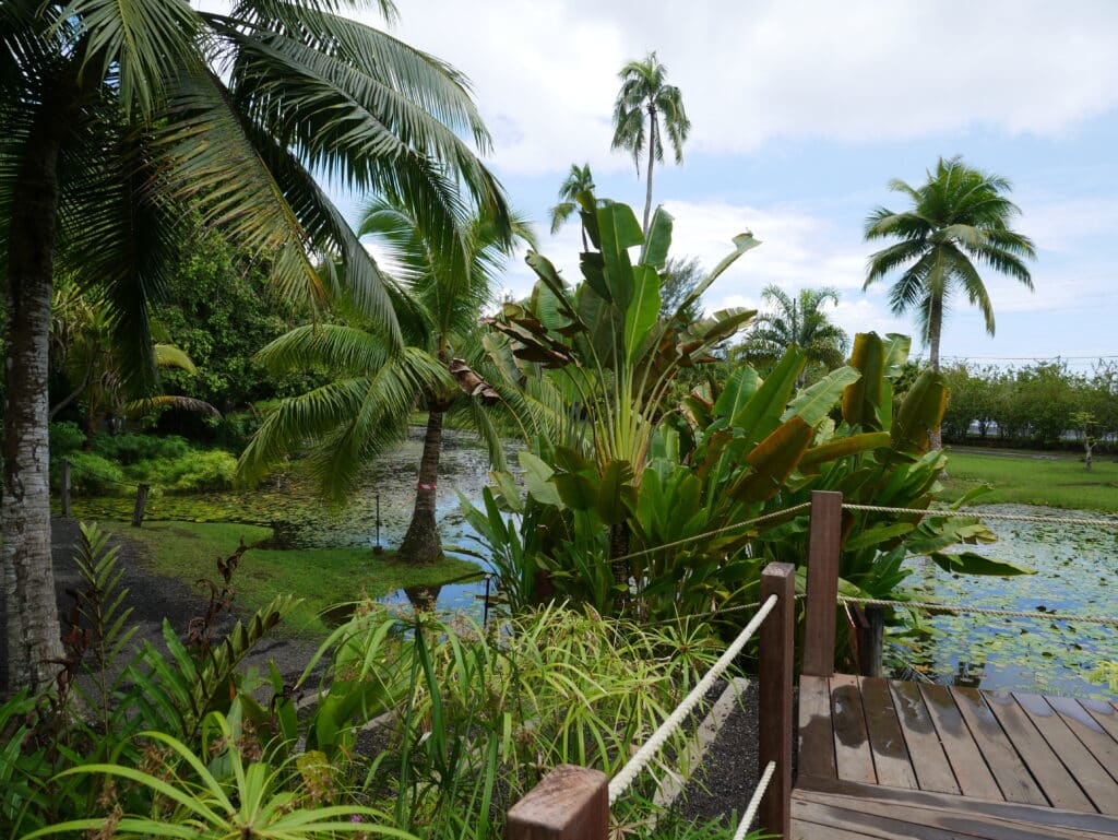 Water Gardens Vaipahi, Tahiti