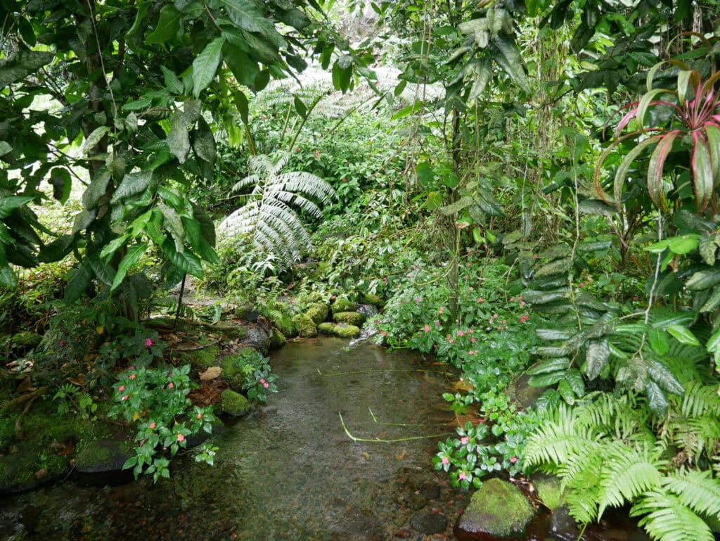 Water Gardens Vaipahi, Tahiti