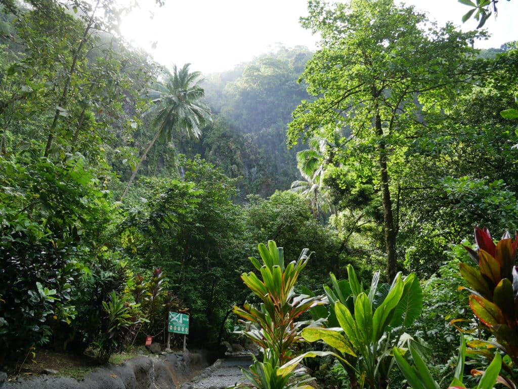 Faarumai Waterfall, Tahiti
