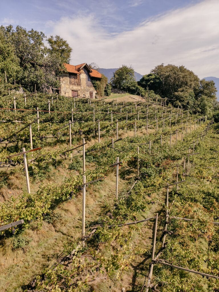 Sessellift Merano-Tirol, Südtirol