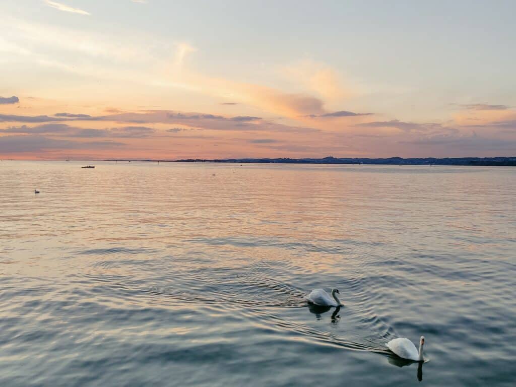 Bregenz Sehenswürdigkeiten, Österreich, Bodensee