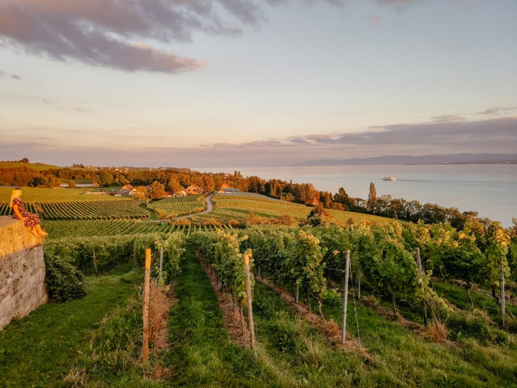 Meersburger Höhenweg, Wanderung am Bodensee