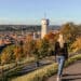 Ravensburg Sehenswürdigkeiten, Bodensee