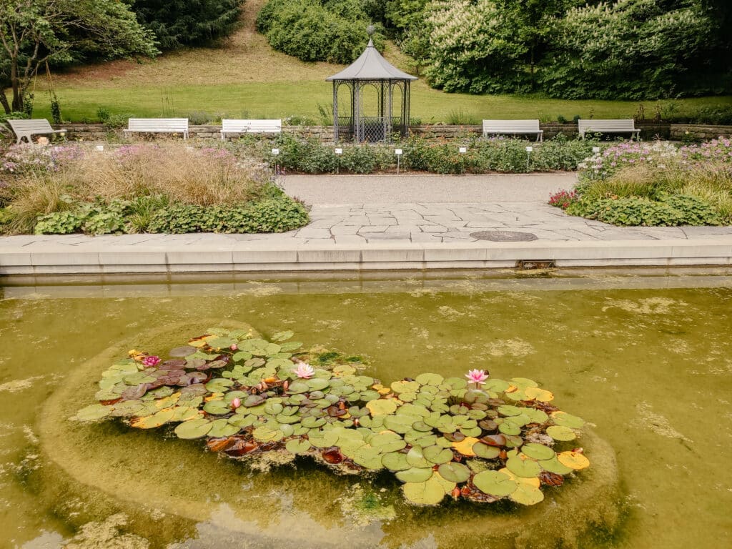 Rosengarten in Überlingen am Bodensee