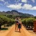 Winelands Südafrika, Stellenbosch, Garden Route, Südafrika