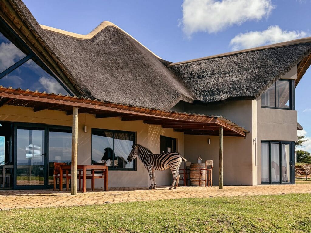 Jbay Zebra Lodge, Übernachten in Jeffreys Bay, Garden Route, Südafrika