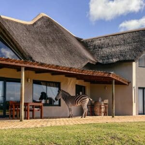 Jbay Zebra Lodge, Übernachten in Jeffreys Bay, Garden Route, Südafrika