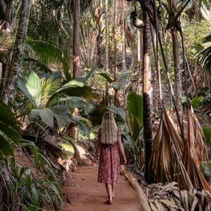 Seychellen Aktivitäten & Highlights