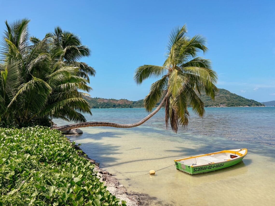 Paradiesische Palme auf Praslin mit kleinem Boot am türkisfarbenen Strand.
