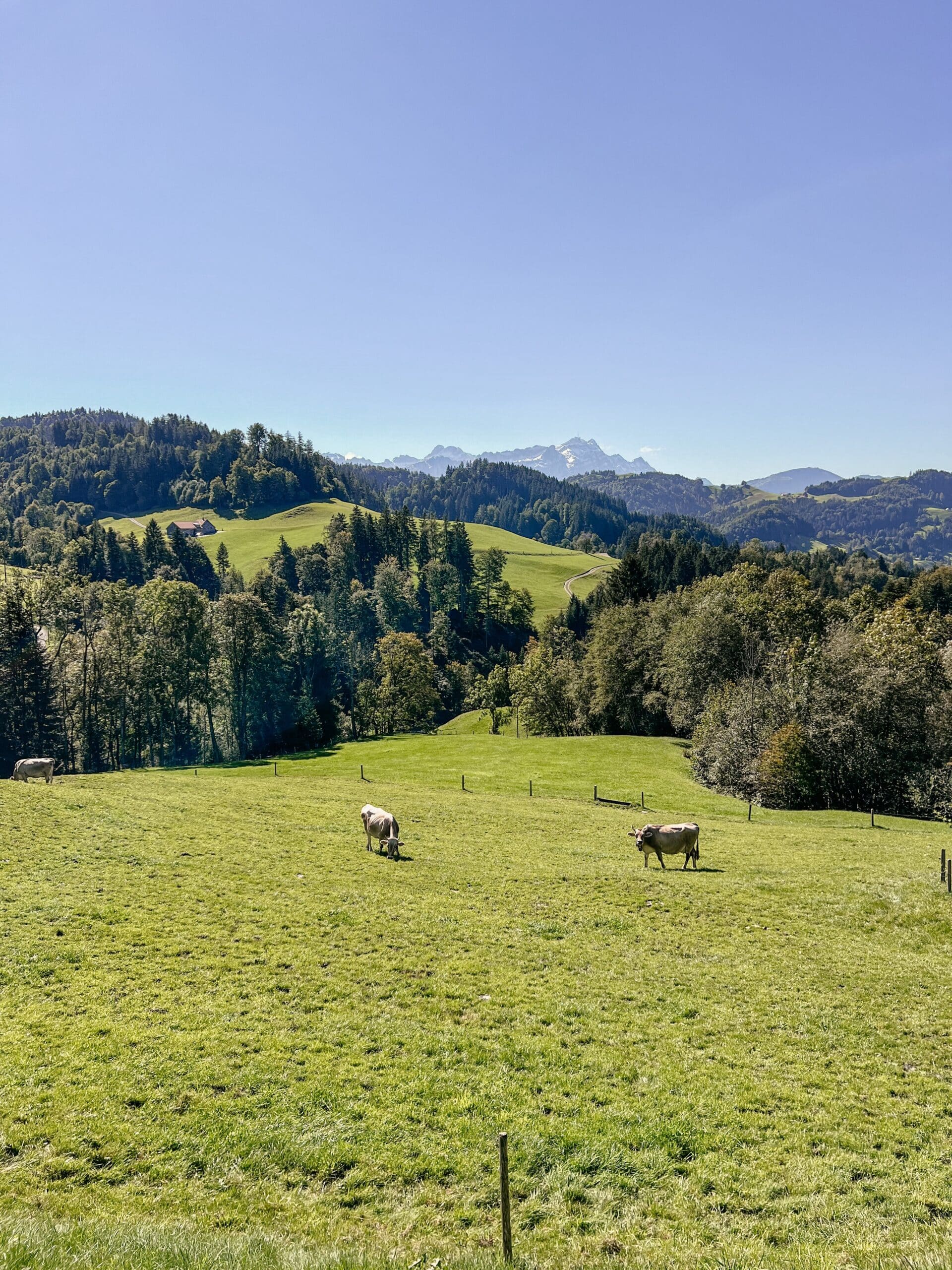 Appenzellerland, Schweiz, Bodensee