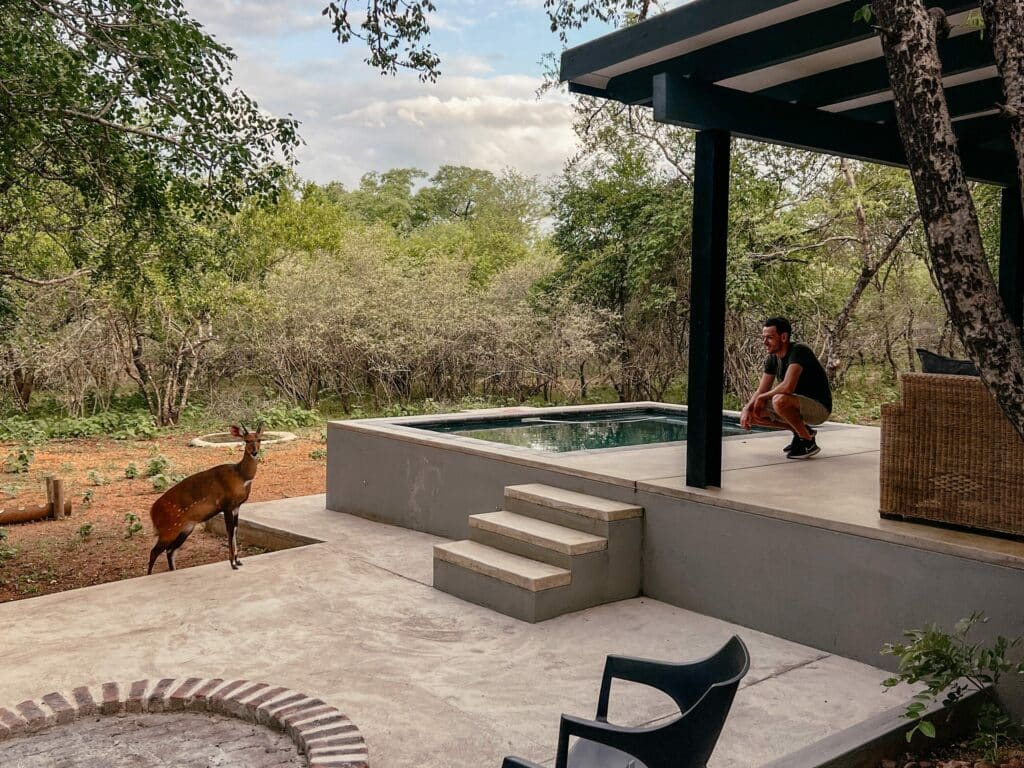Marloth Park, Kruger Nationalpark, Südafrika