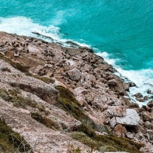 Plettenberg Bay, Robberg Nature Reserve, Südafrika