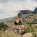 Wandern im Royal Natal Nationalpark, Gudu Falls, Drakensberge Südafrika