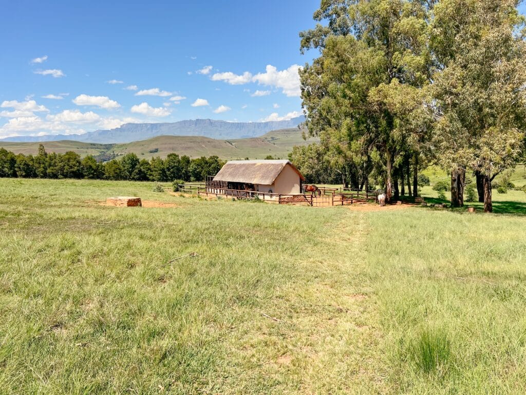 Drakensberge, Südafrika