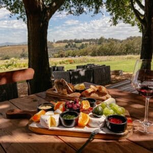 Winelands Südafrika, Stellenbosch, Alto Wine Estate