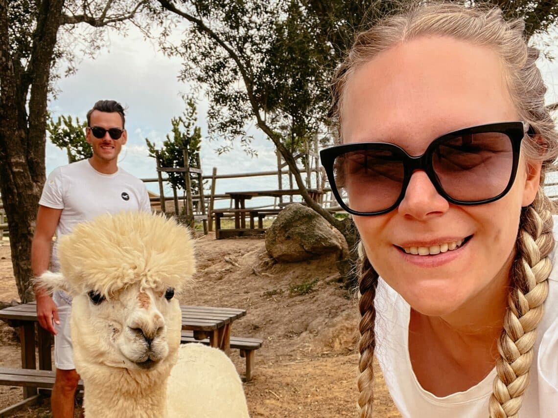 Alpaca Loom Cafe, Paarl, Weinregion Südafrika