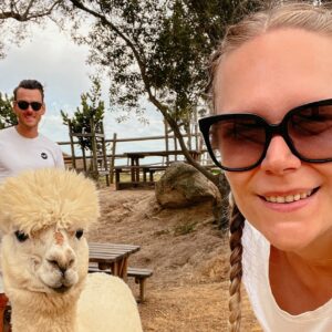 Alpaca Loom Cafe, Paarl, Weinregion Südafrika