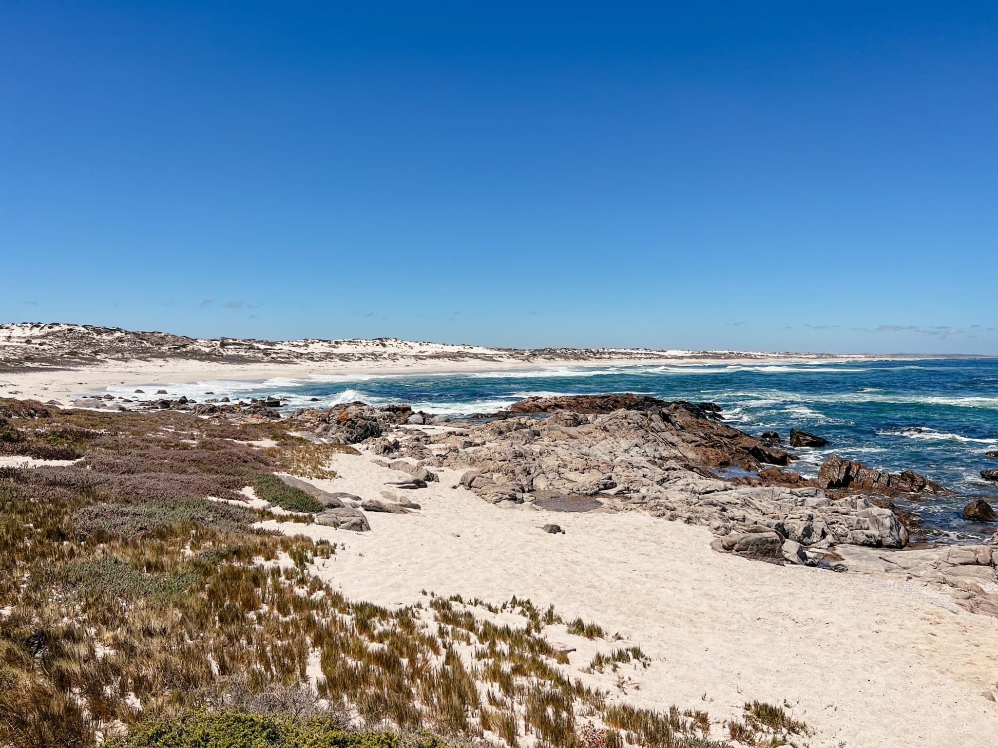 West Coast Nationalpark in Südafrika: Wandern, Strände & Tipps