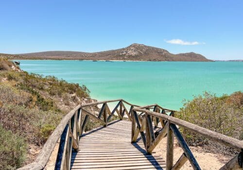 West Coast Nationalpark, Langebaan, Westküste, Südafrika