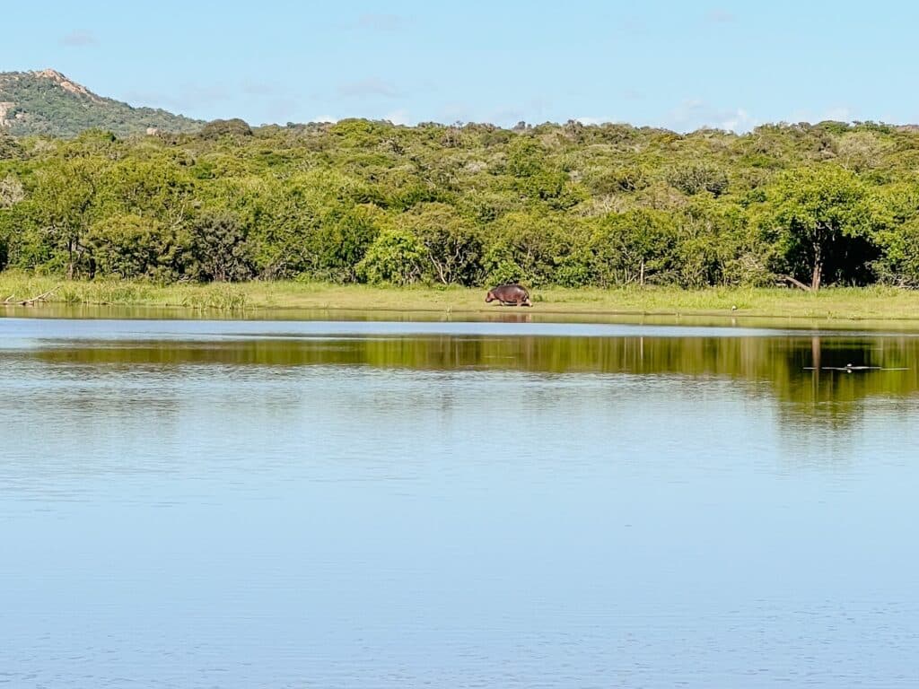 Makhasa Game Lodge, Safari, Südafrika