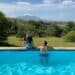 Weinregion Südafrika Stellenbosch Sugarbird Manor